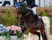 DI PAOLA JAMACOMA CampITA2013- S5 1115 : Campionati Italiani 2013, Cattolica, DI PAOLA MARCO, Horse Riviera Resort, JAMACOMA, foto di Stefano Secchi ©